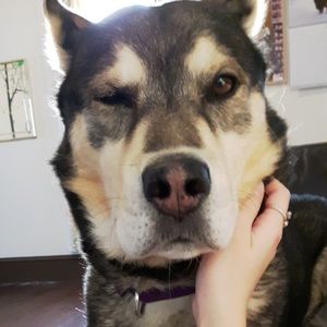 Meet your Posher, Cassidi